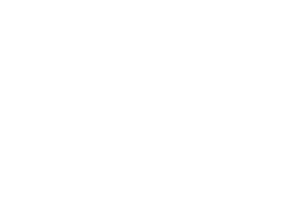 Logo des Staatssekretariat für Bildung, Forschung und Innovation